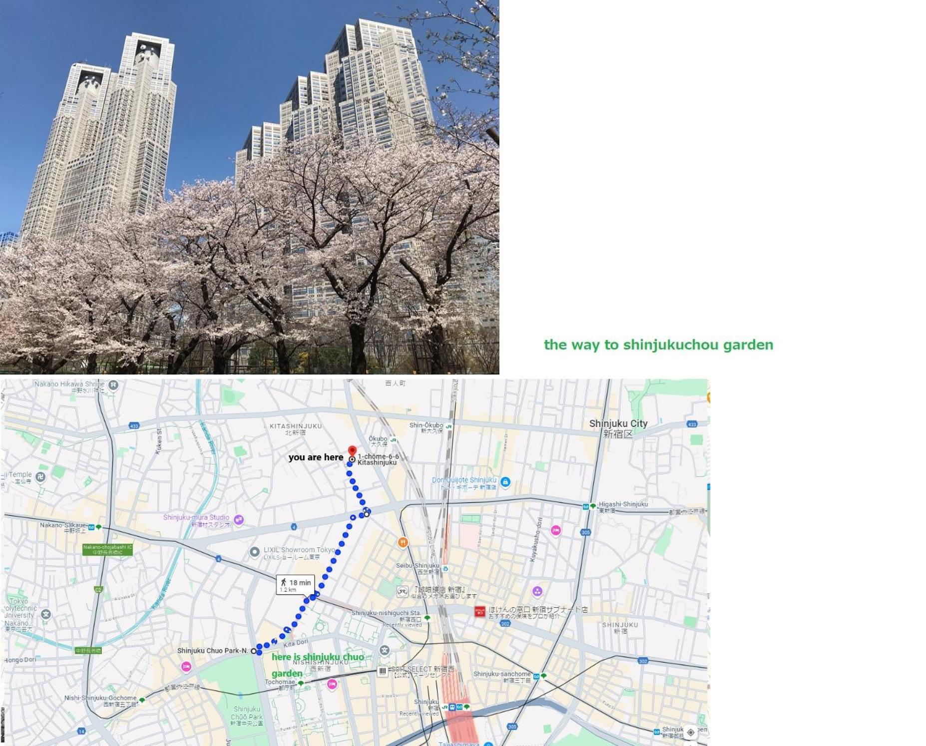 大久保駅から４分、貸切、韓国ダウン至近、新宿/歌舞伎町に徒歩圏内 、단독사용민박 Токио Екстериор снимка